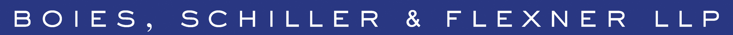 BSF_Logo_high_res.png