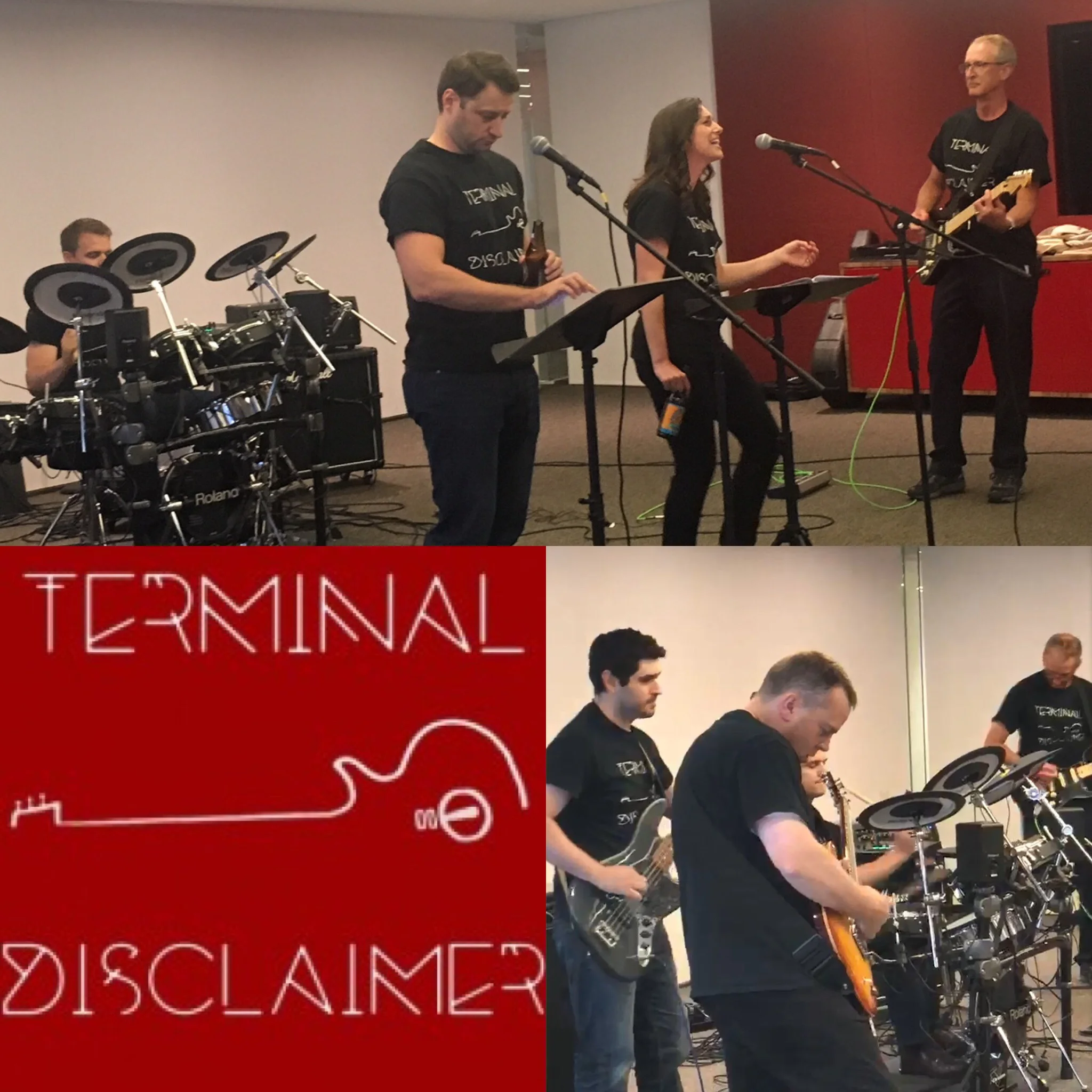 Terminal Disclaimer