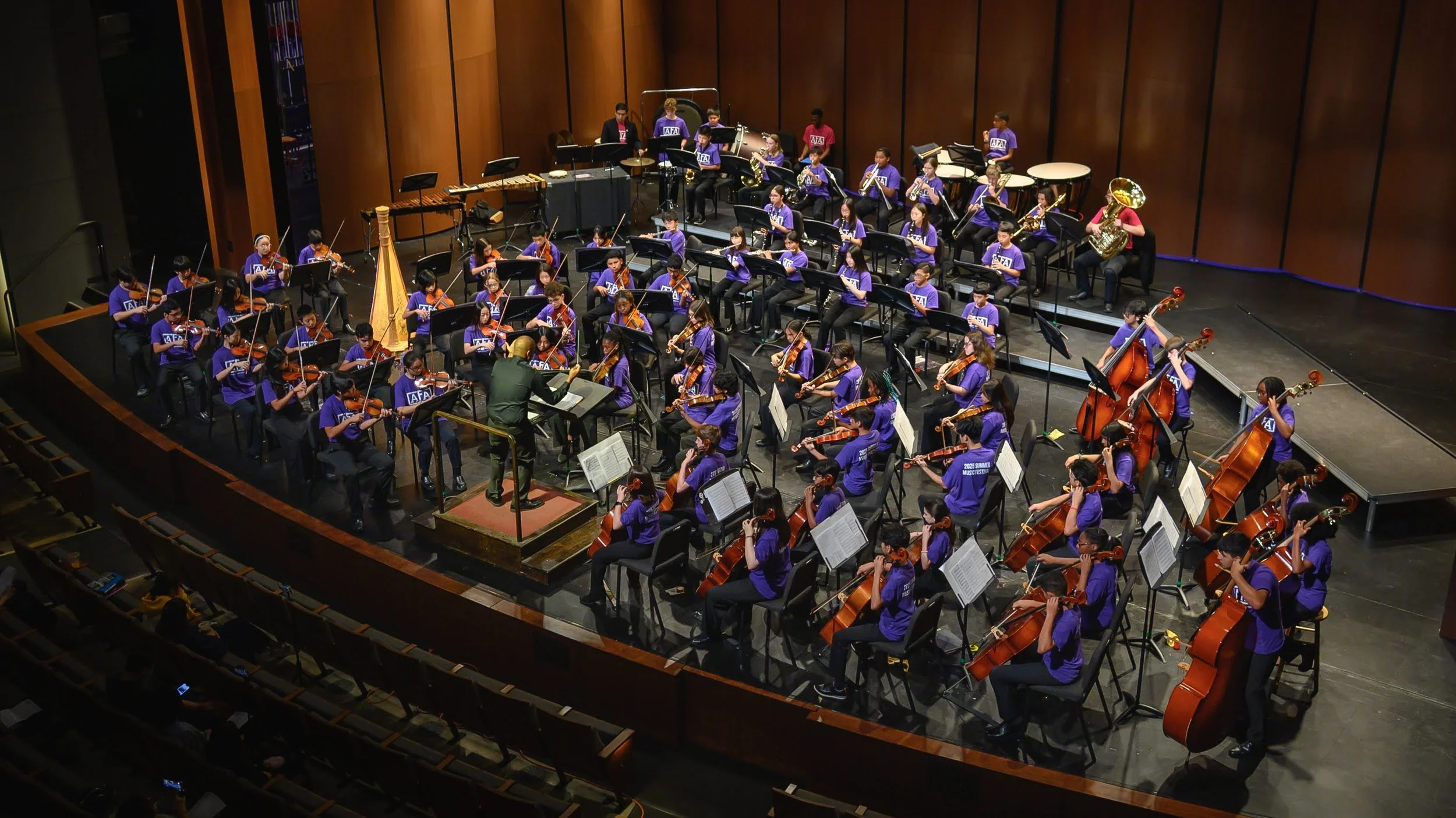 Nonprofit Spotlight: American Festival for the Arts, Law Rocks Houston Music Matters Grant Recipient (2026)