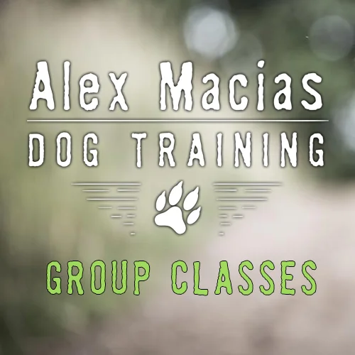 Adult Basic - March 26 @ 11:00am