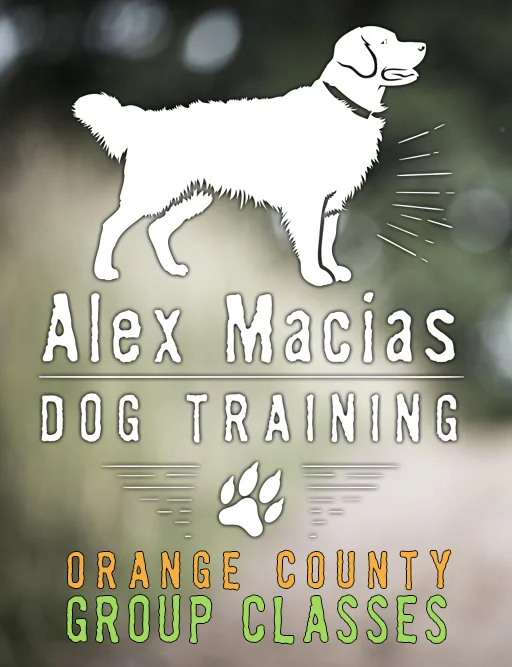 Adult Basic - May 18th @ 5:00pm - Dogtopia of Anaheim Hills