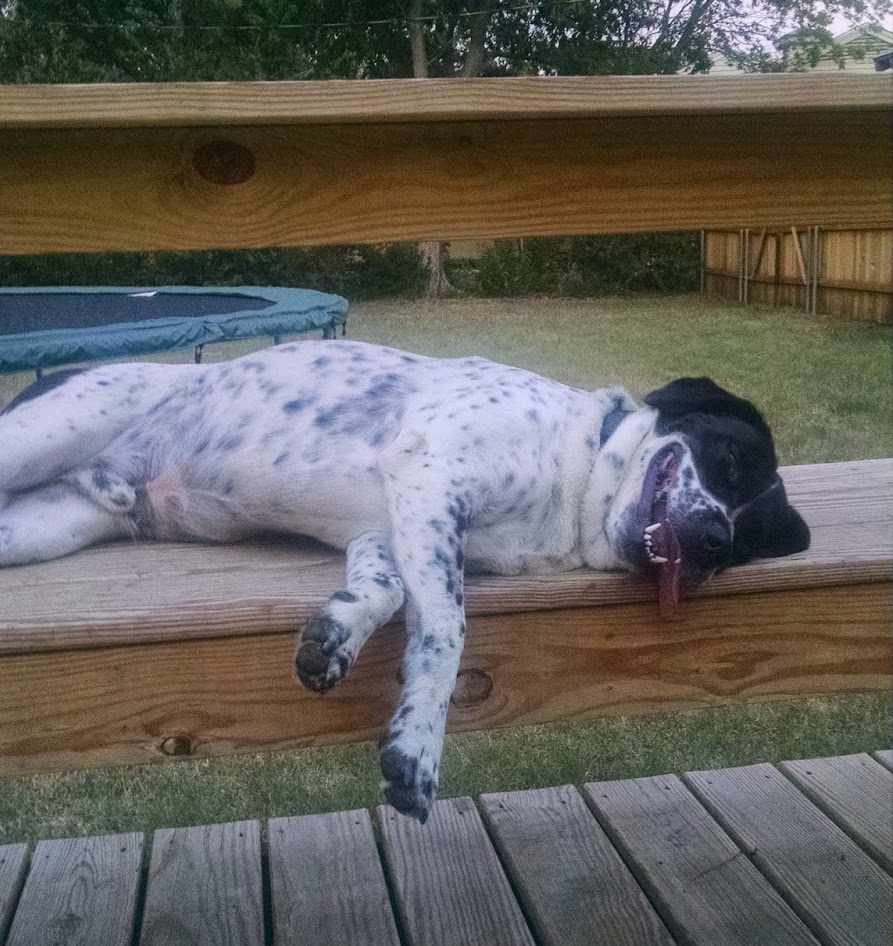 "I'm exhausted. Want to go for a run now?"