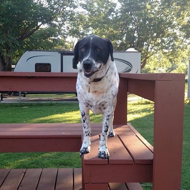 "Hi there."
