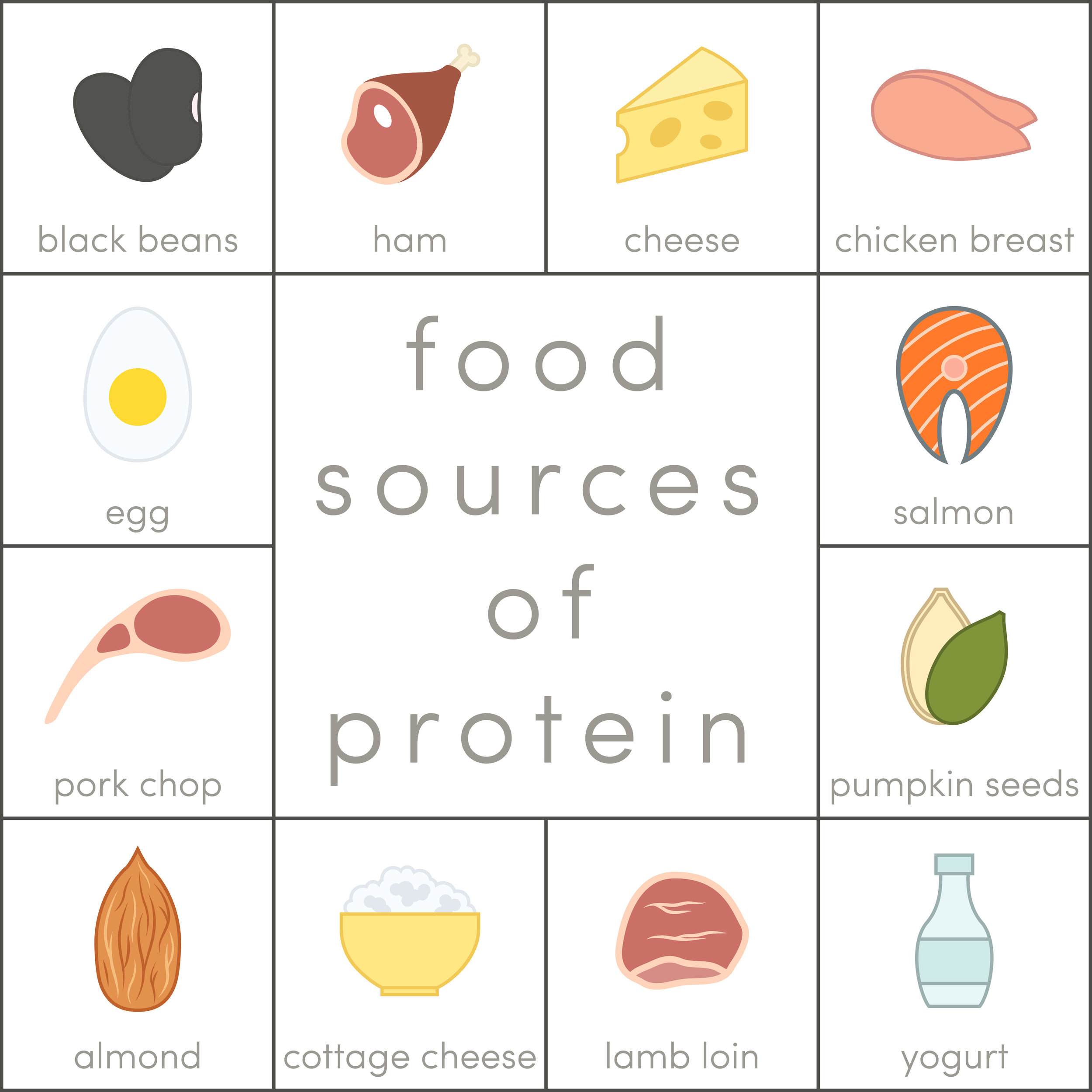 52 Healthy Habits: Eat More Protein — Lea Genders Fitness