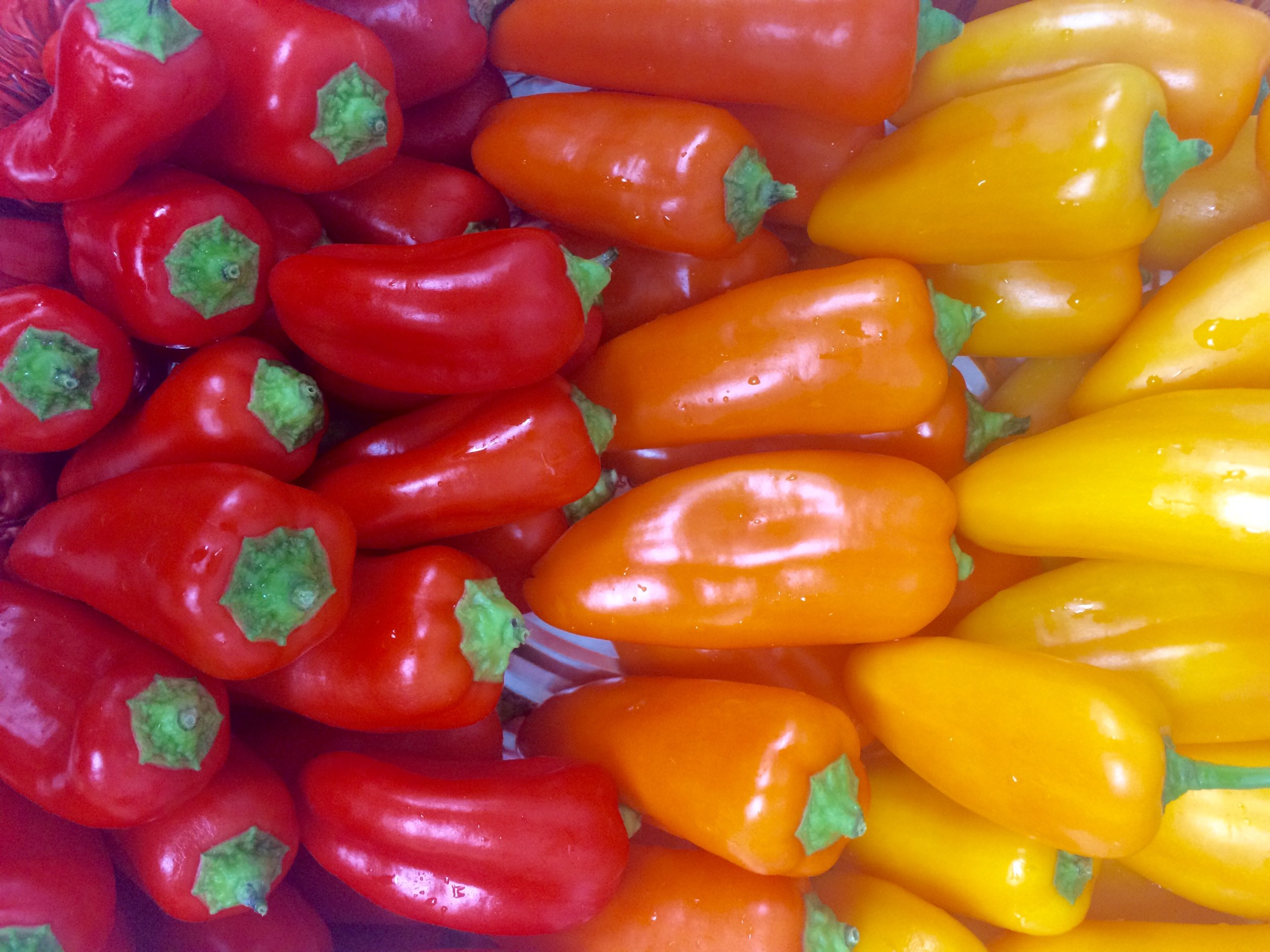 scenes from our healthy lunch - colorful mini peppers.