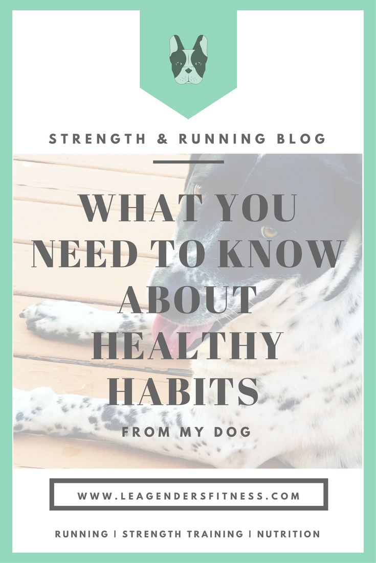 HEALTHY HABITS FROM MY DOG.png