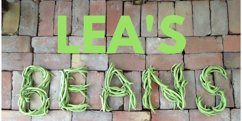 Lea's Beans (2).png