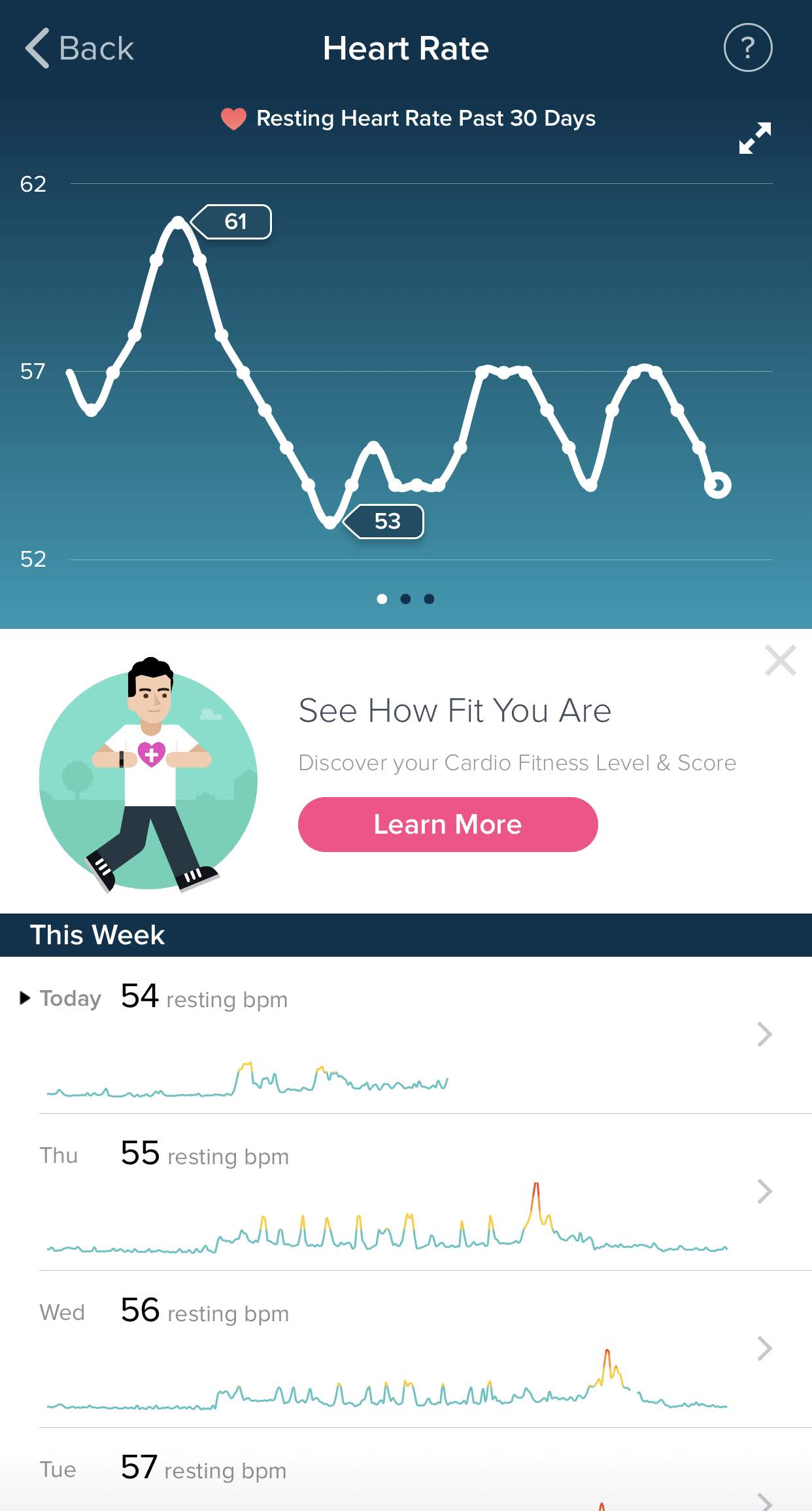Oura Ring Vs. FitBit Which Is Better For Tracking? — Lea Genders