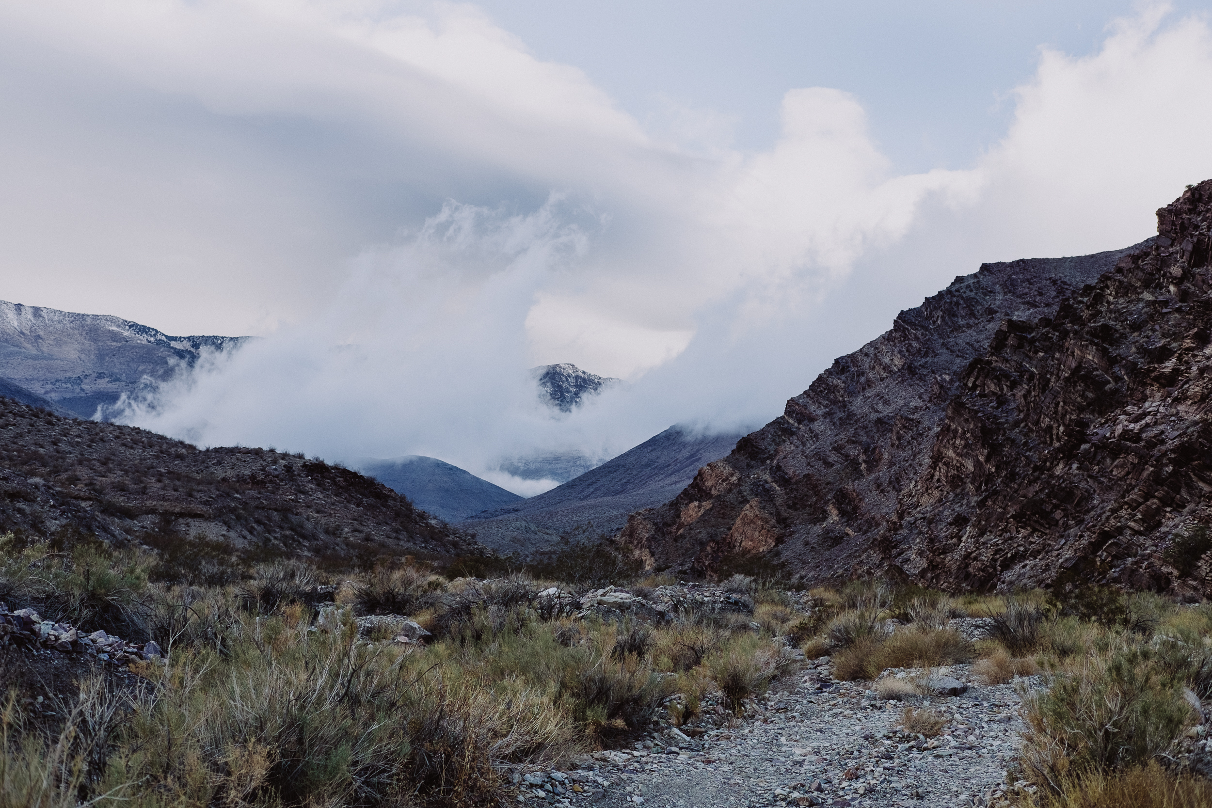 deathvalley-vivianchen-3354.jpg