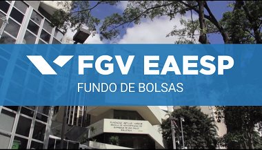 FUNDO DE BOLSAS