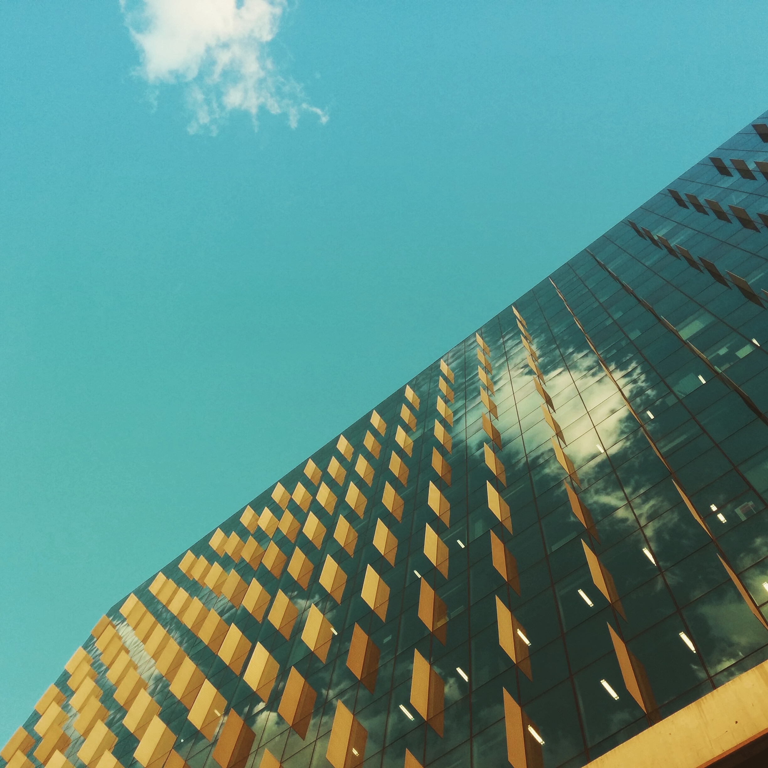 Administrative child support proceedings in Florida