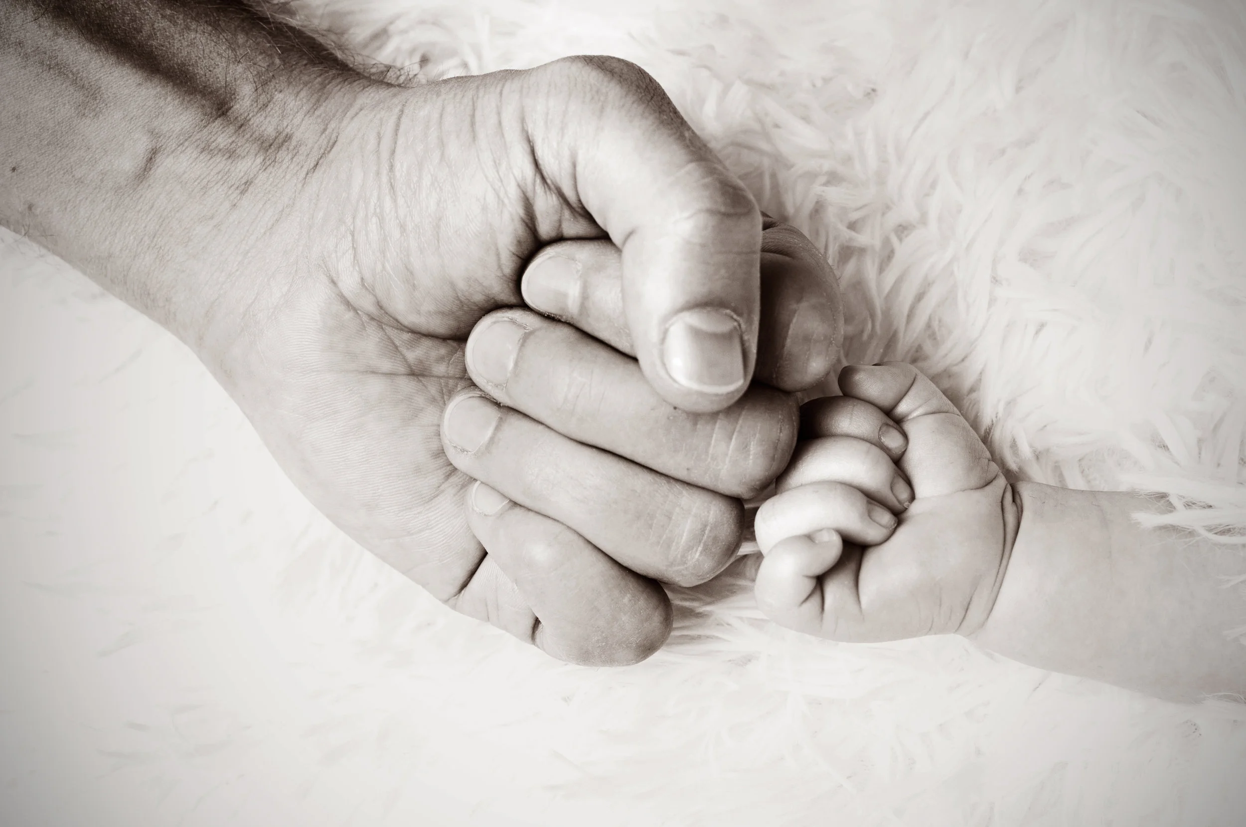 Florida paternity: The biological father may not be the legal father and vice versa
