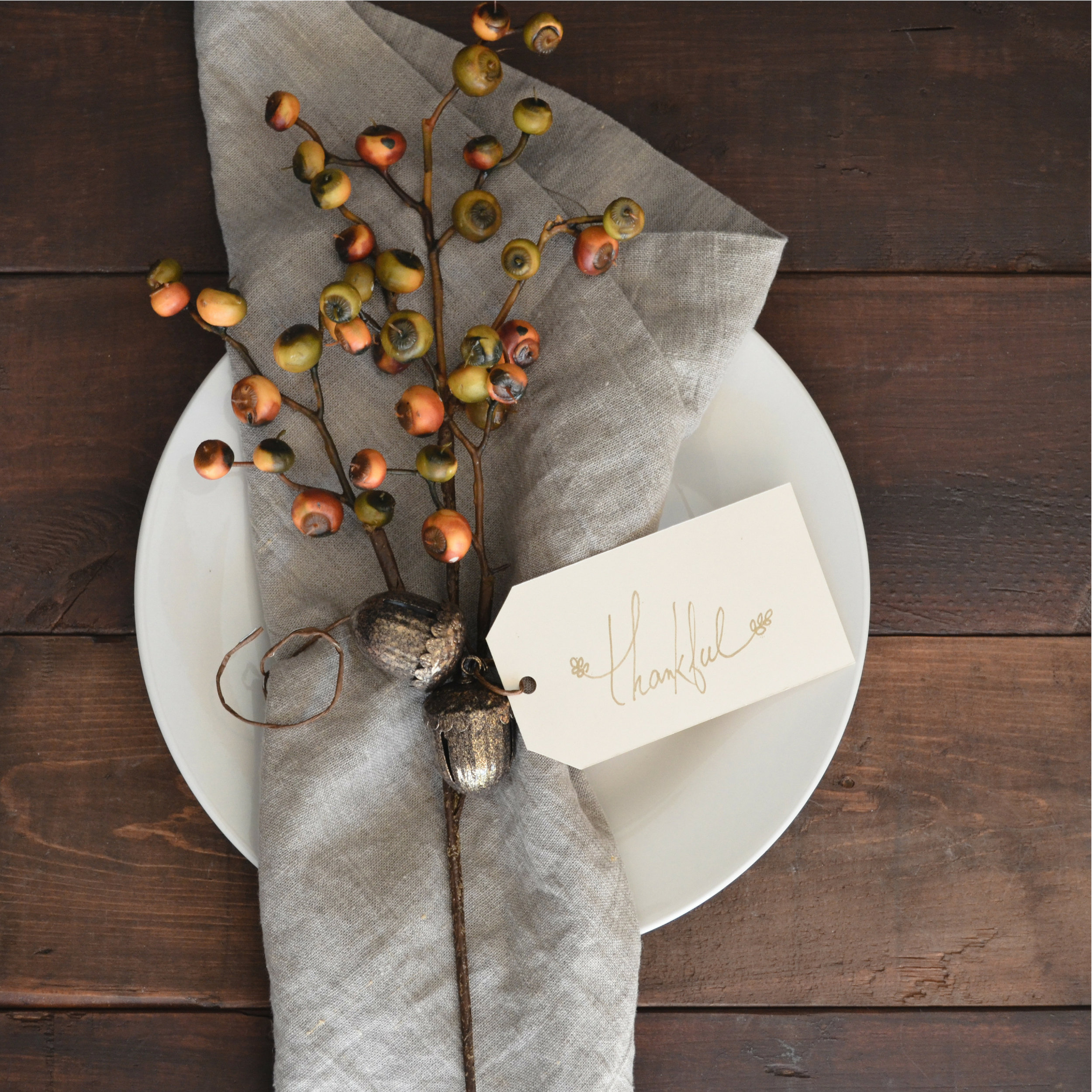 Happy Thanksgiving!