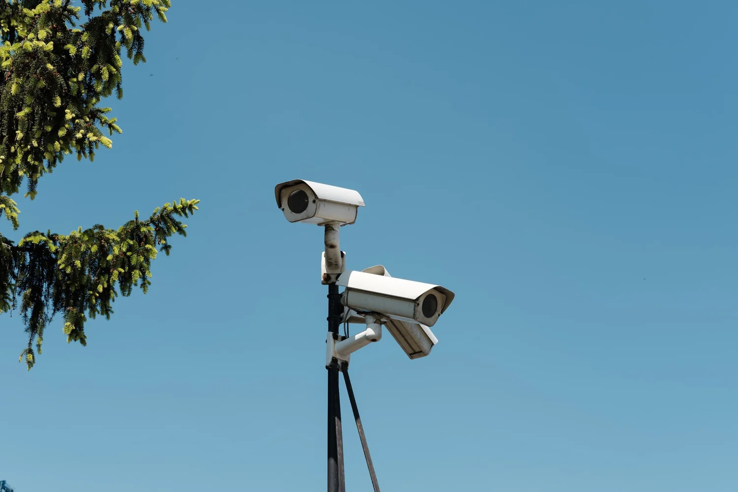 Neighbor Harassment Laws in Florida: What You Need to Know Today