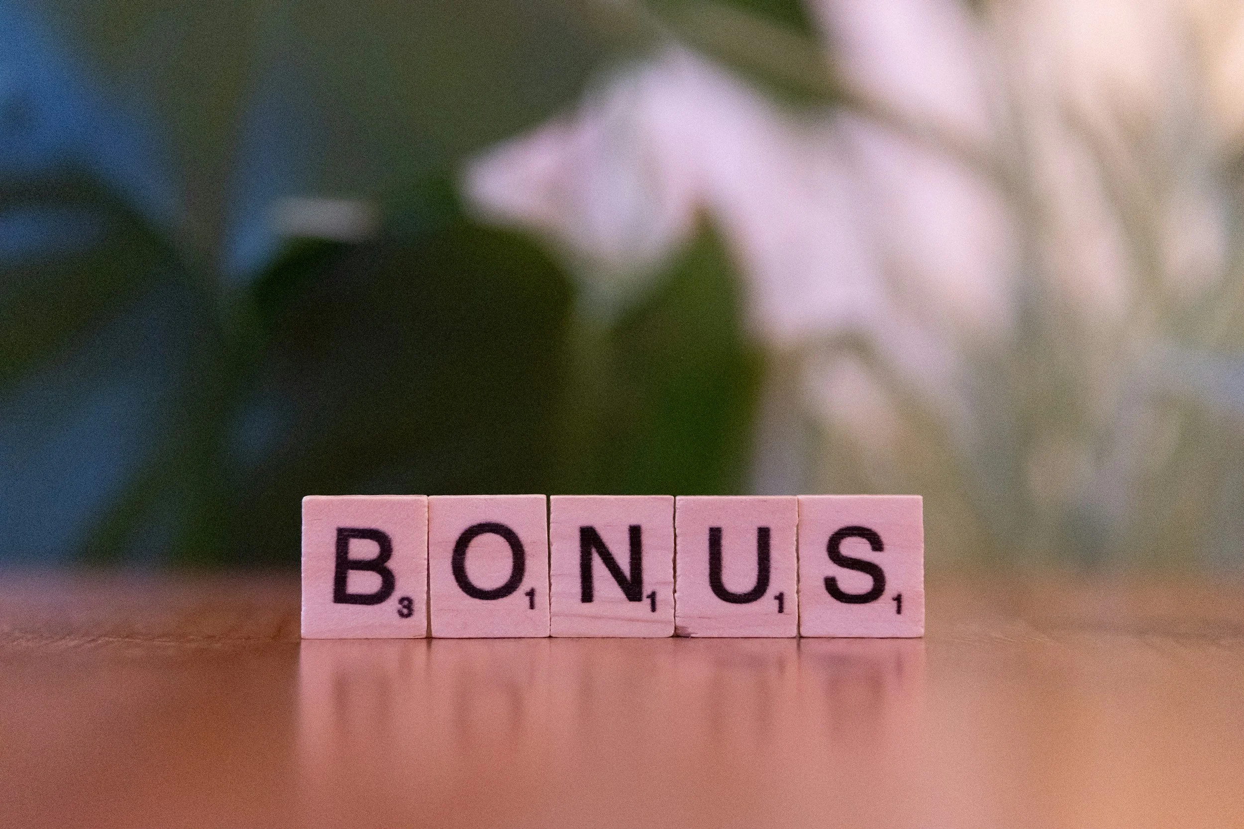 Florida Divorce: Determining whether bonus income counts in calculating support