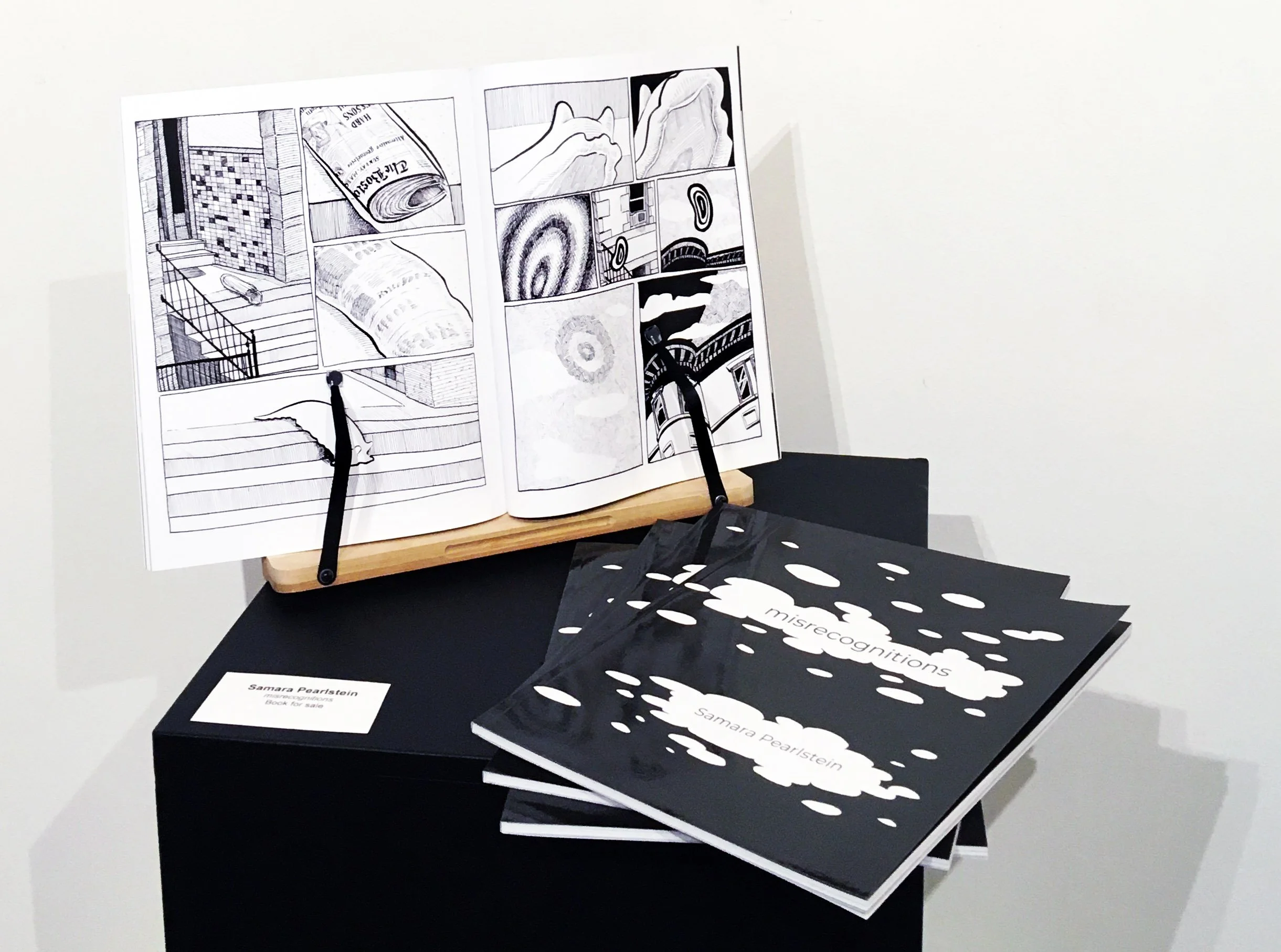 misrecognitions book on display.jpg