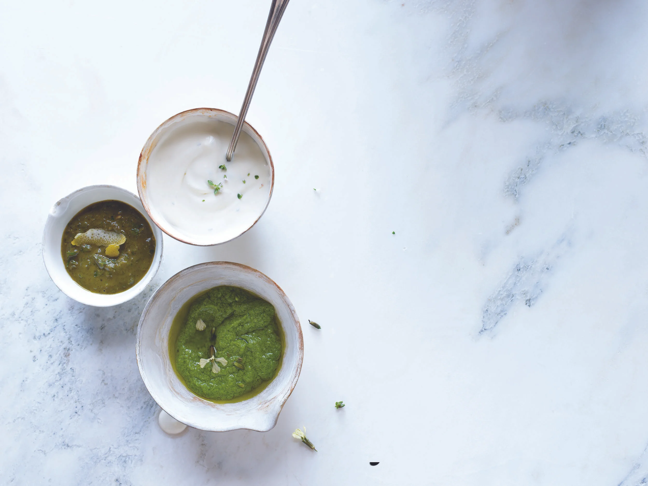 SpecialtyBook-Soups- SidesGarnishesSpicesGroup1-v1.jpg