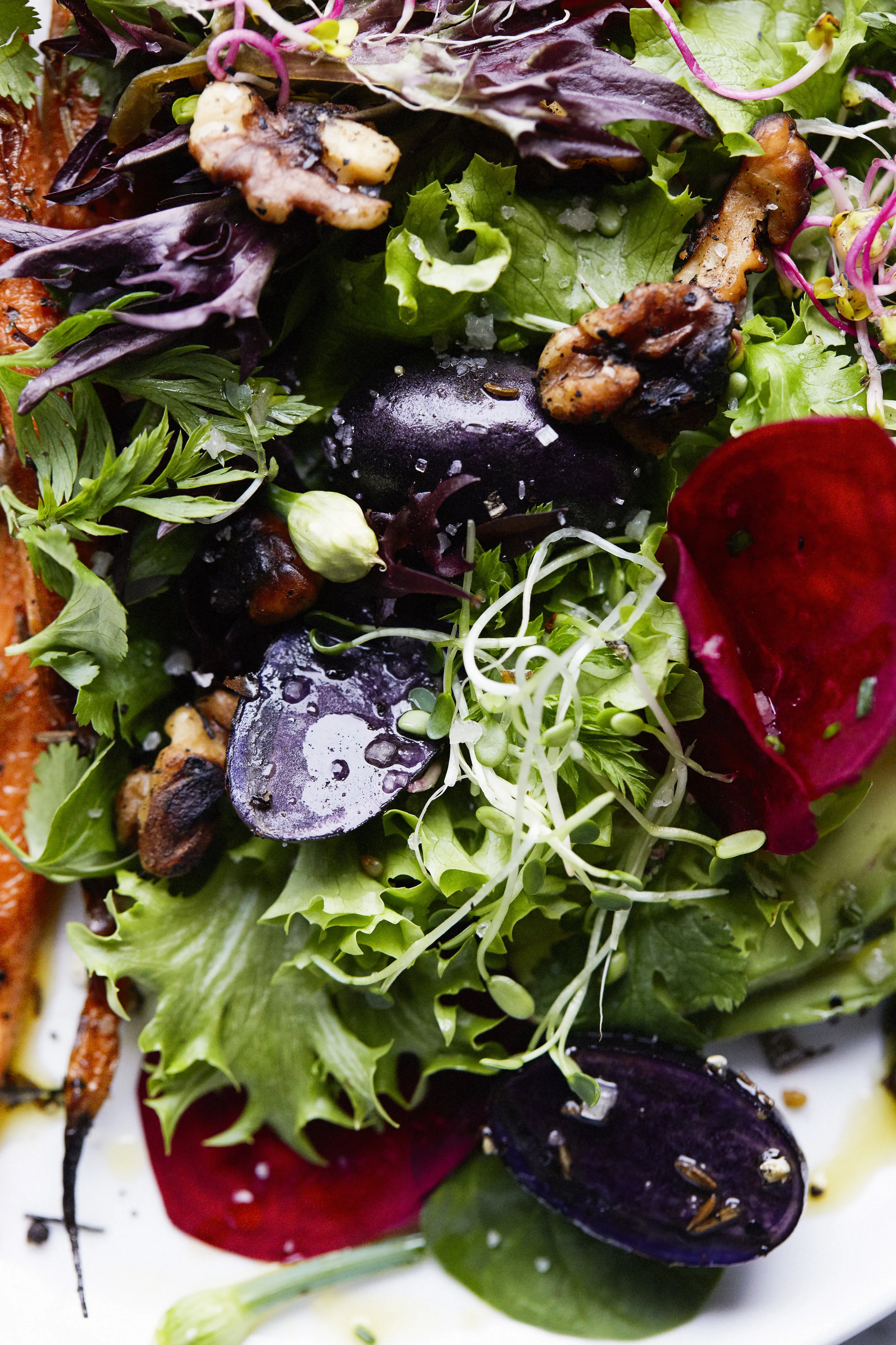 Salad Grabs 011.jpg
