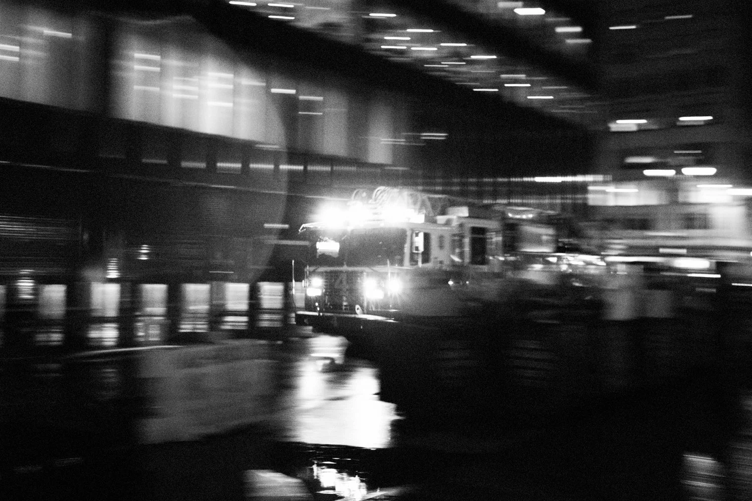DSCF8556.jpg