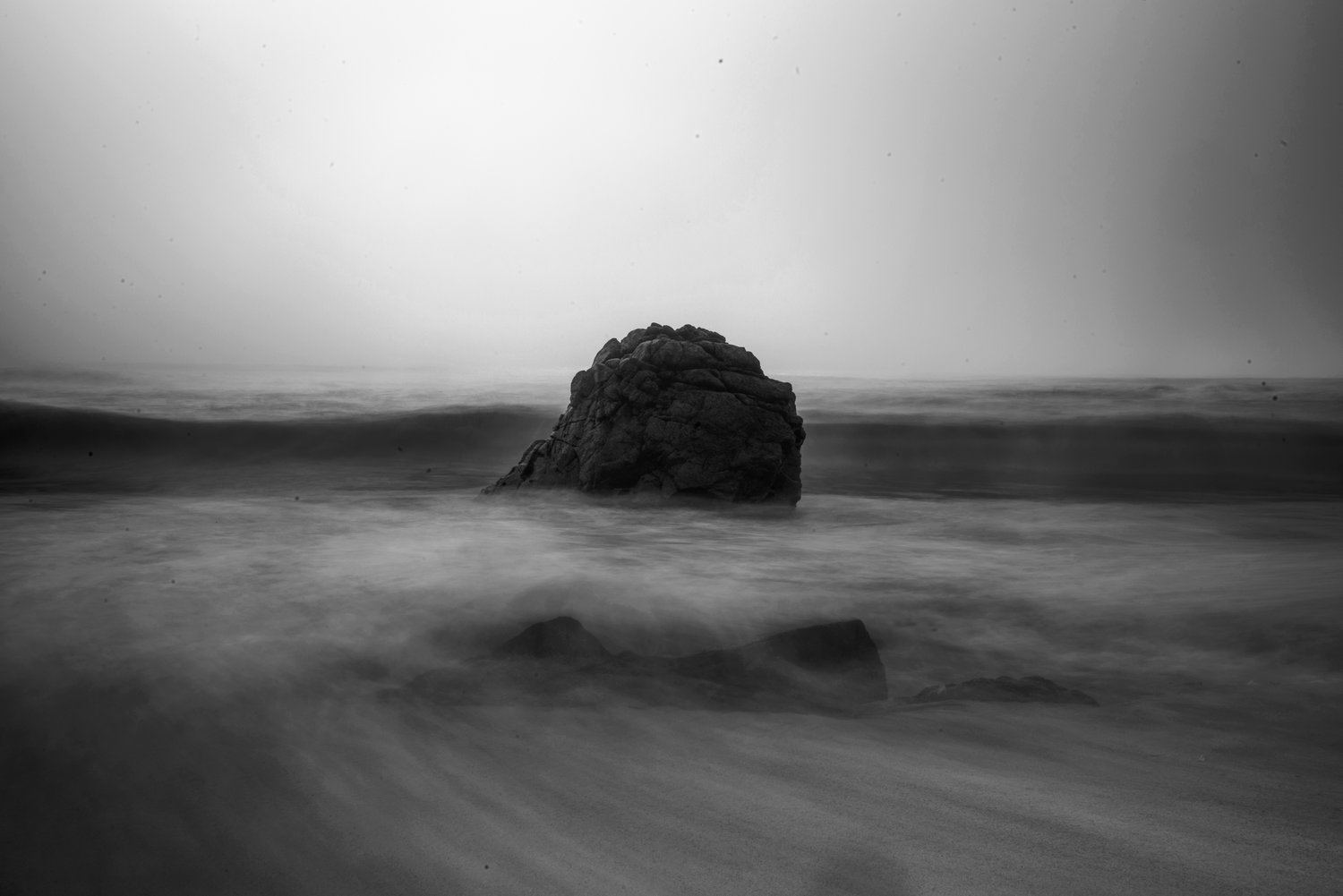 DSC_9003.jpg