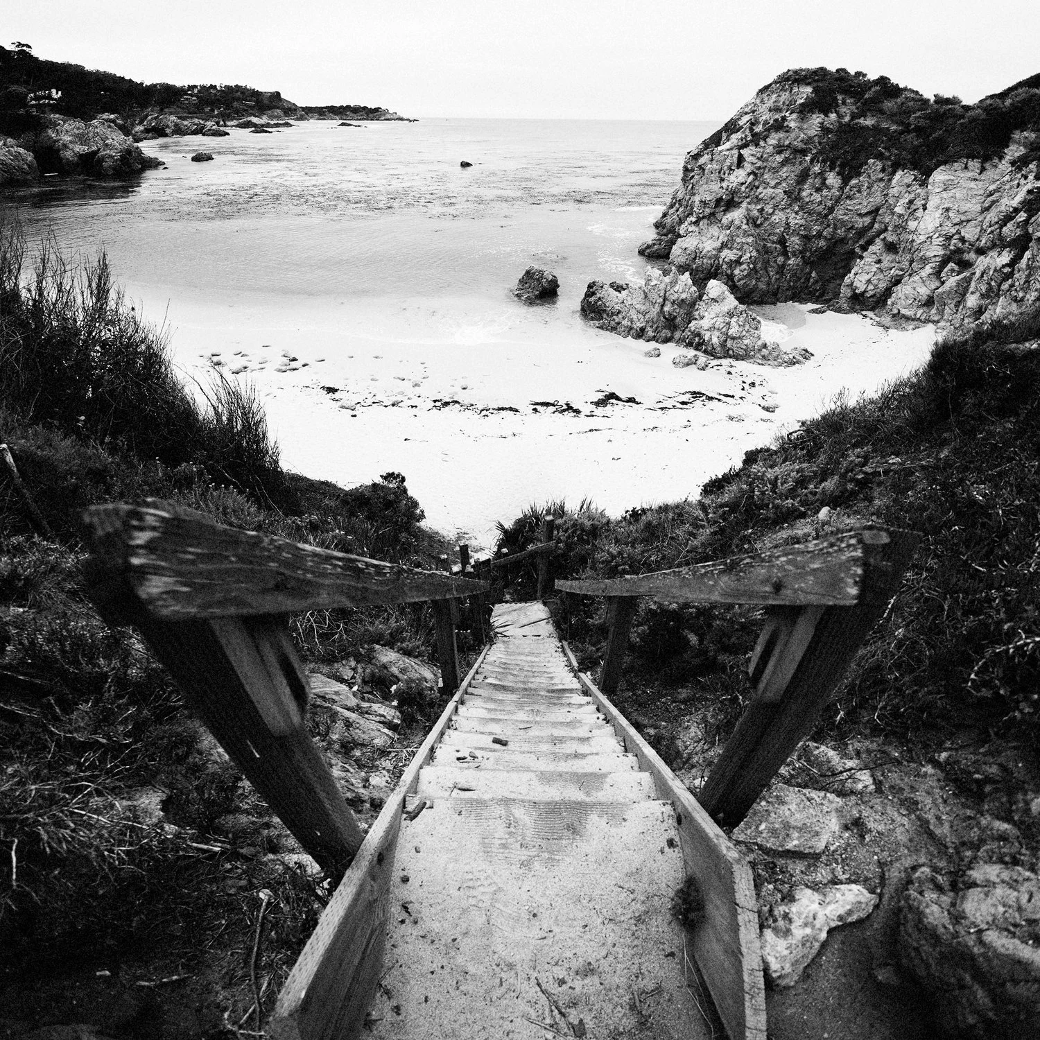 DSC_9107-Pano.jpg