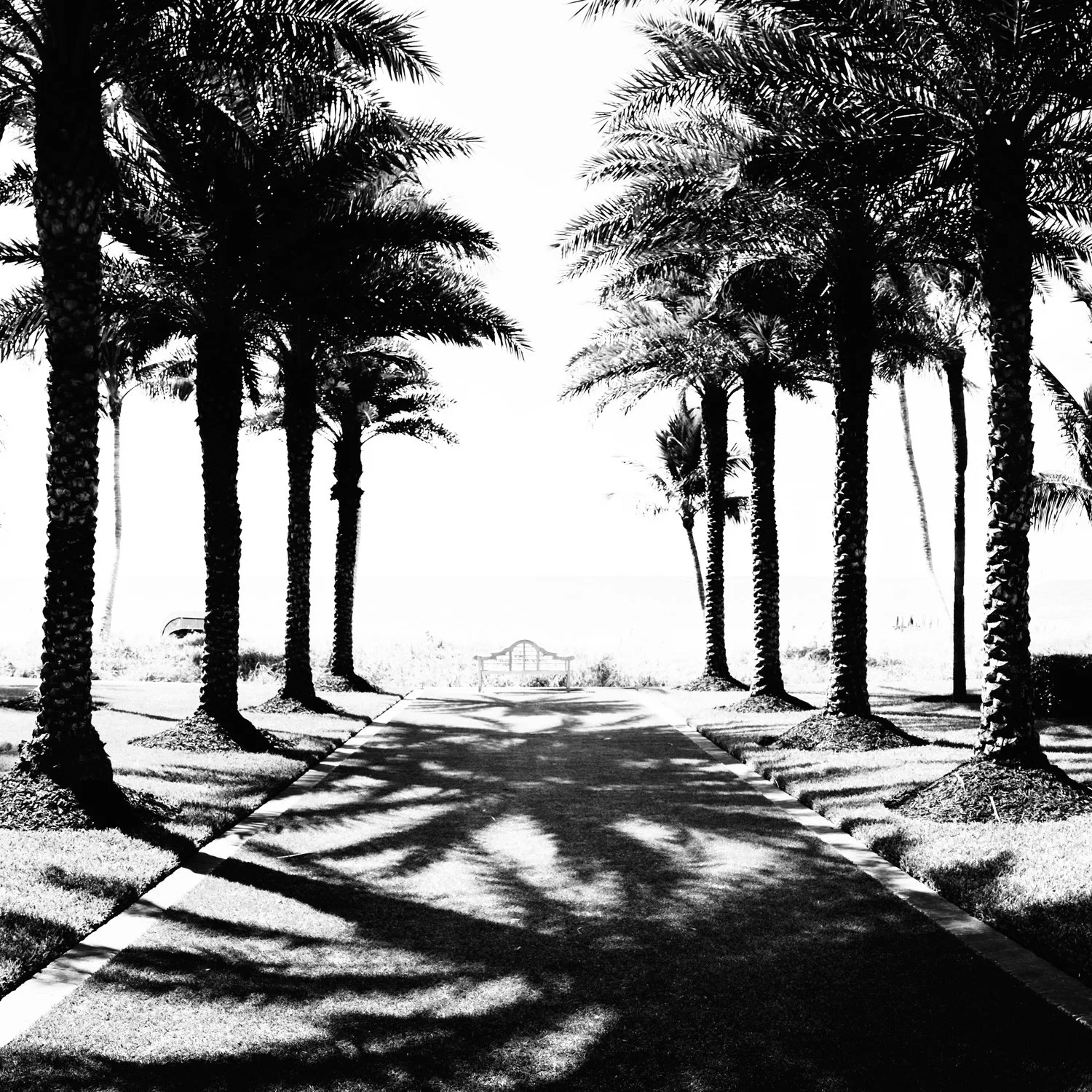 Untitled_Panorama1.jpg