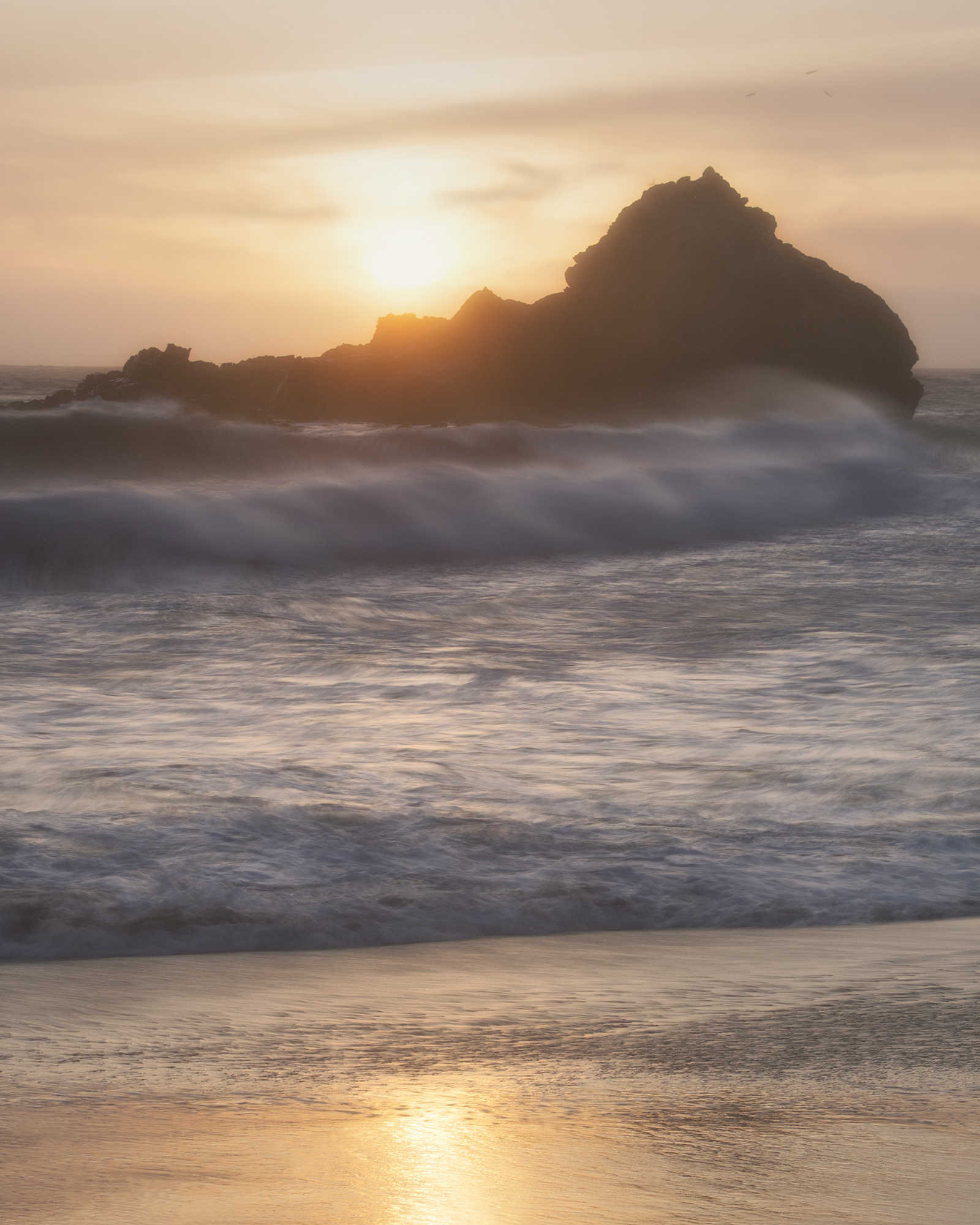 Morton_Monterey_14.jpg