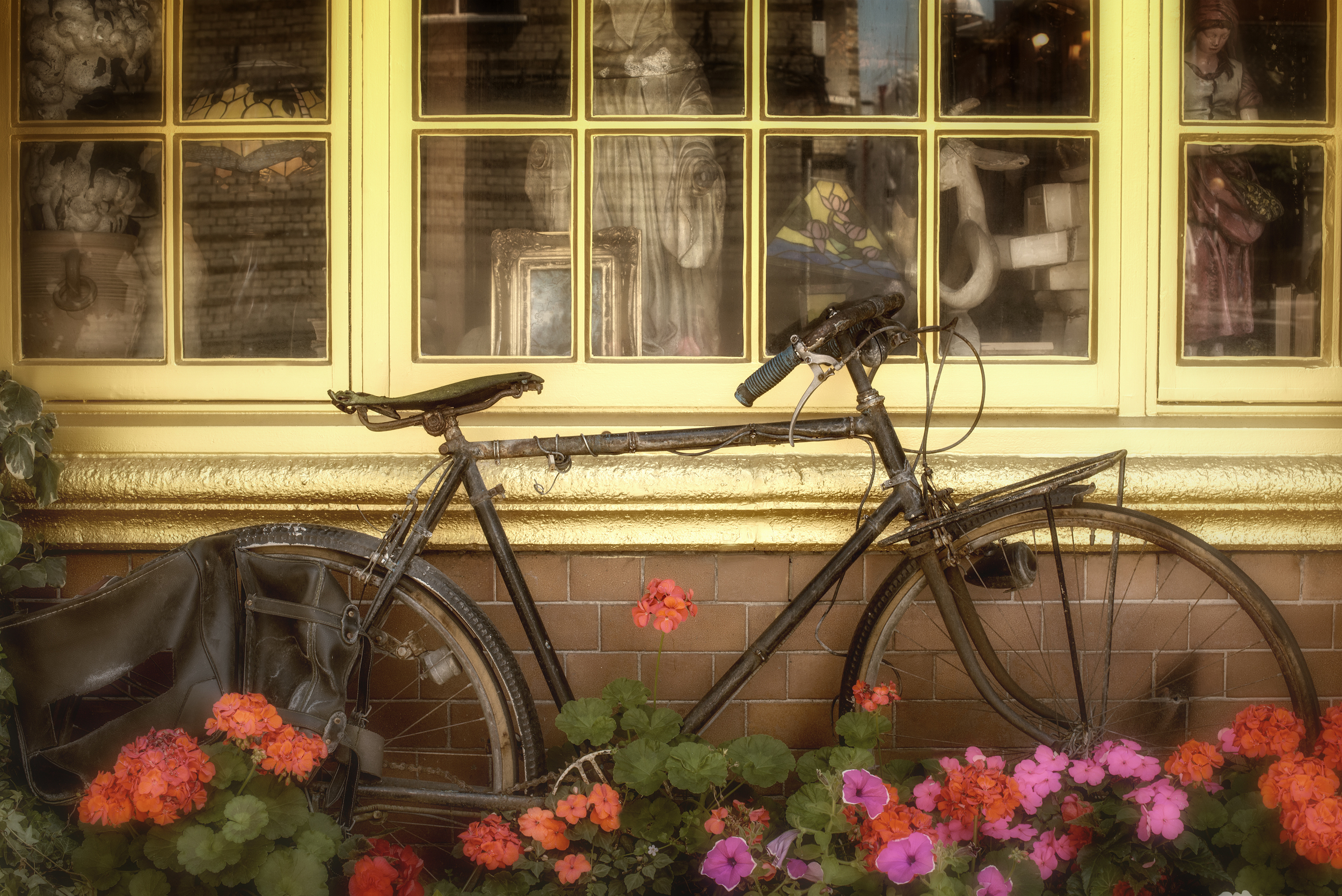 Window_Bicycle_reduced.jpg