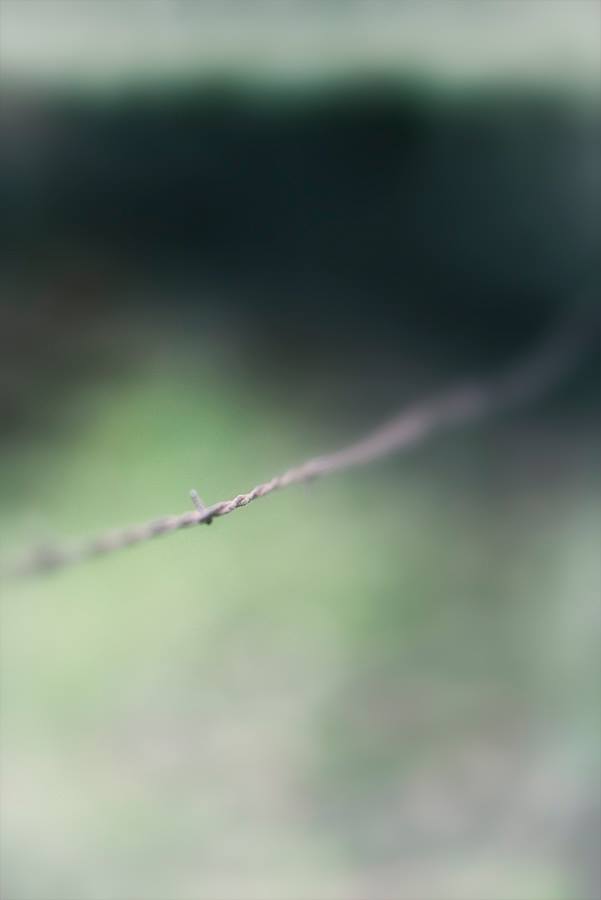barbed wire3.jpeg