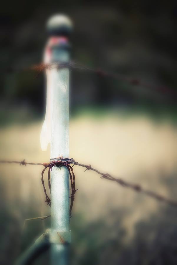barbed wire2.jpeg
