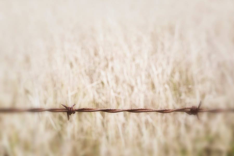 barbed wire1.jpeg