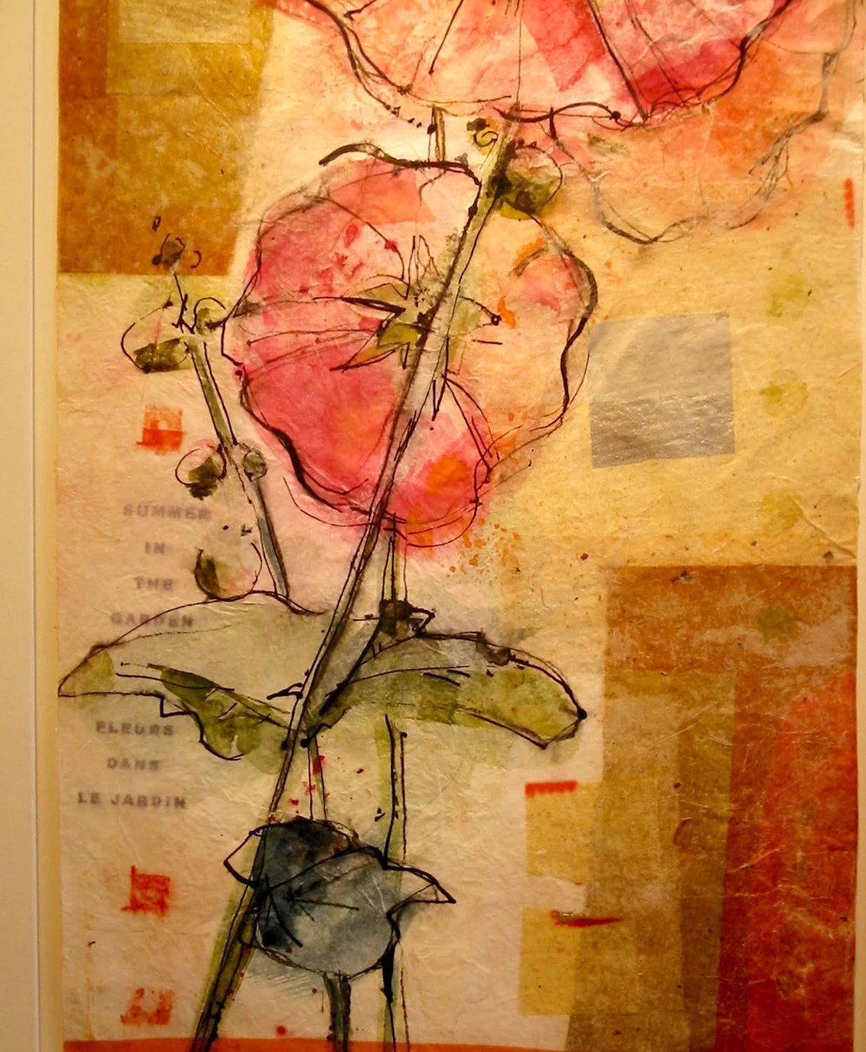  HOLLYHOCK  norwood garden 