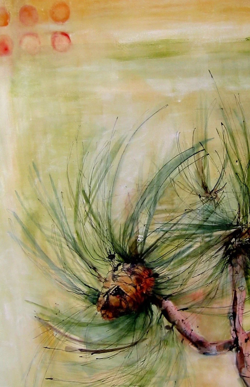  PINON  naturita canyon&nbsp; 