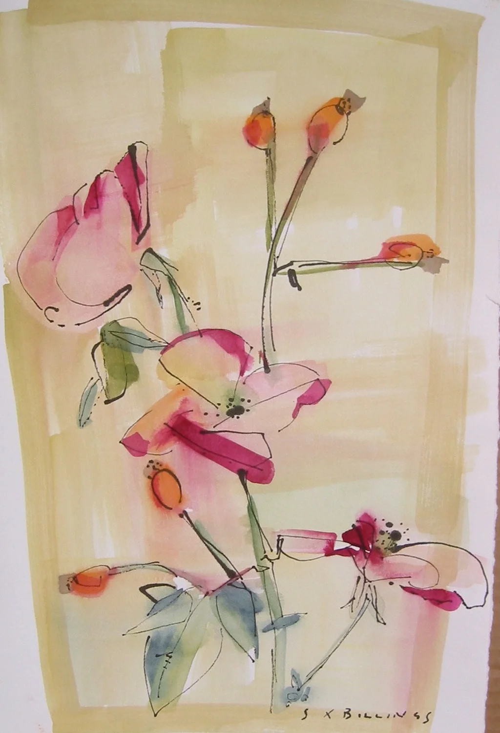  wild rose 14" x 20' 
