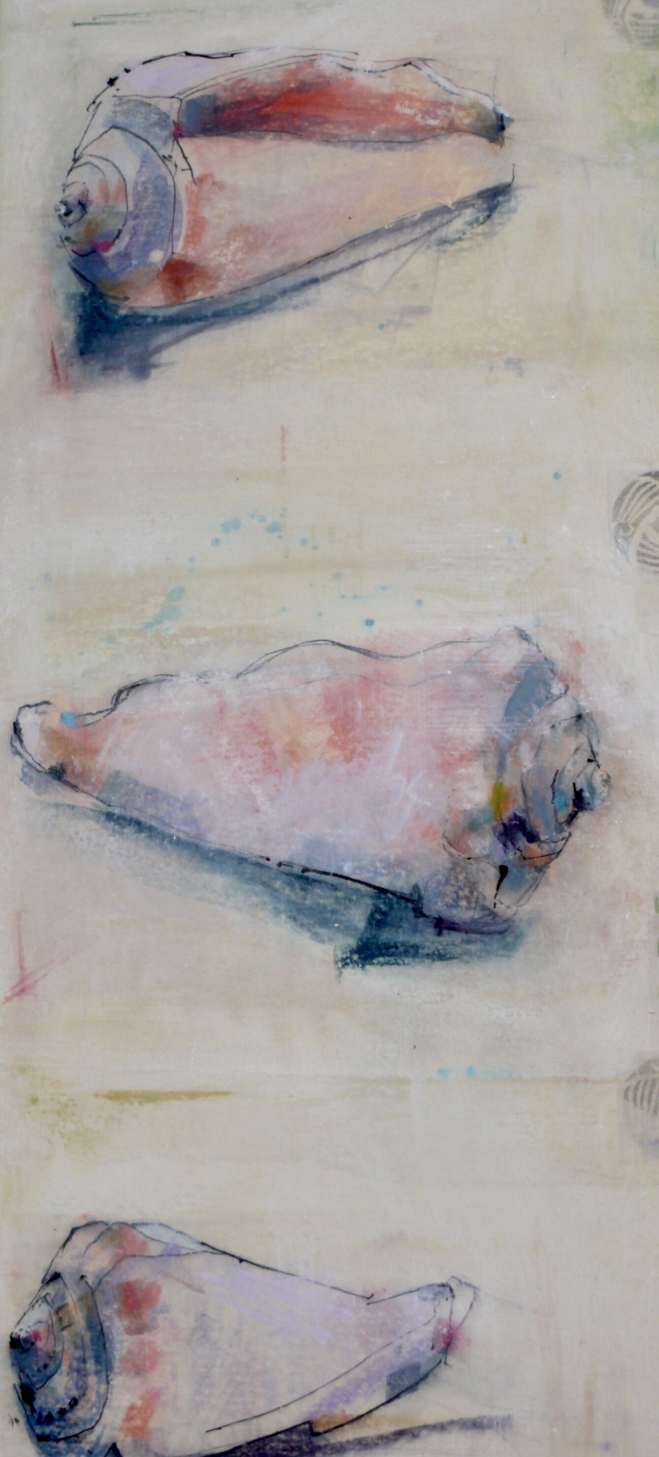  SPIRAL SHELLS   14” x 28” 