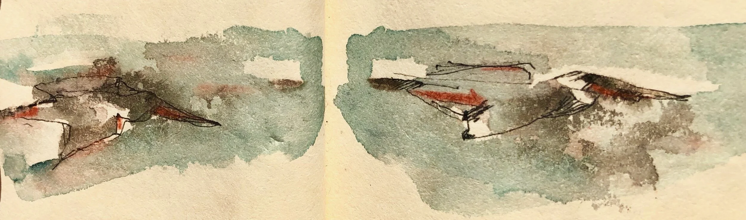  PELICAN FLIGHT  baja 