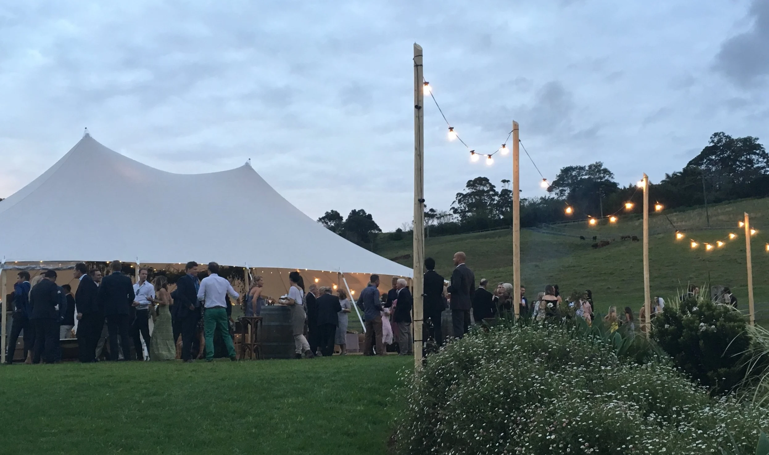 Festoon Lights & Marquee