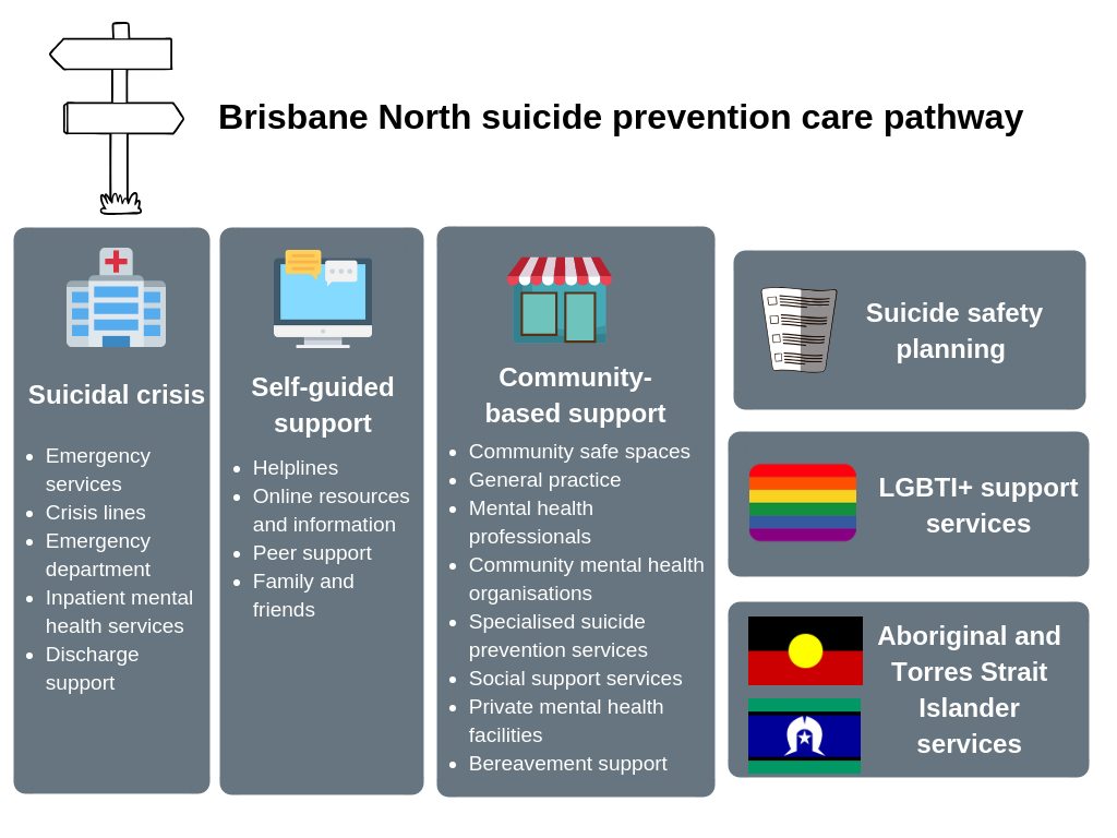 Overview of SP care pathway (1).png