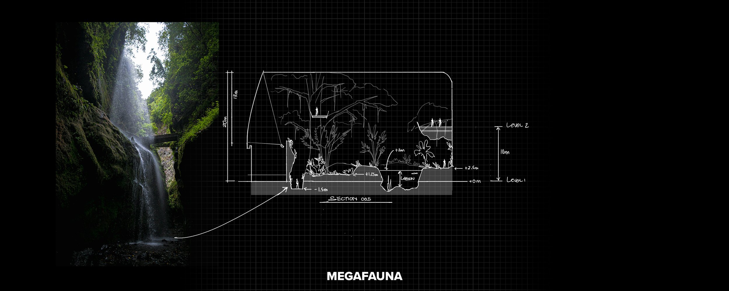 3 Megafauna Section 005.jpg