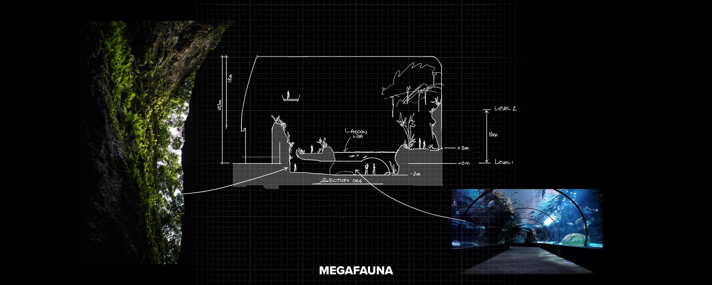 3 Megafauna Section 006.jpg