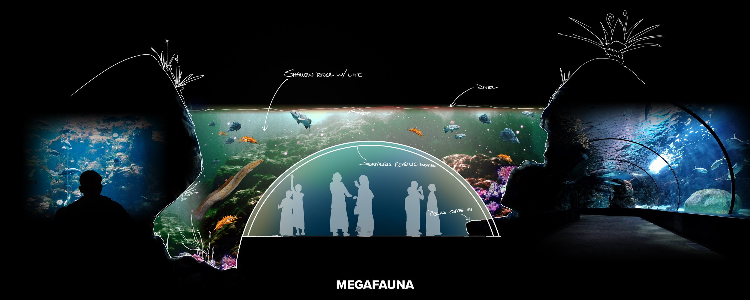 3 Megafauna Section Underwater Lab 001.jpg