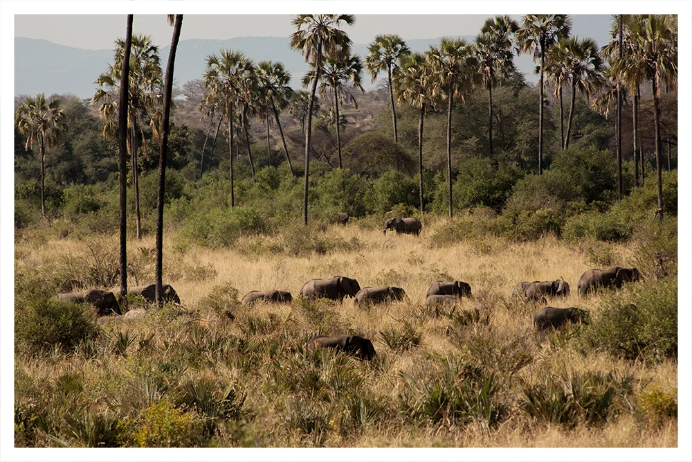 SS_RUAHA_PAGE_05.jpg