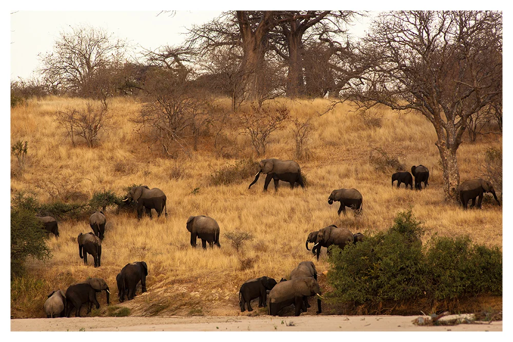 SS_RUAHA_PAGE_06.jpg