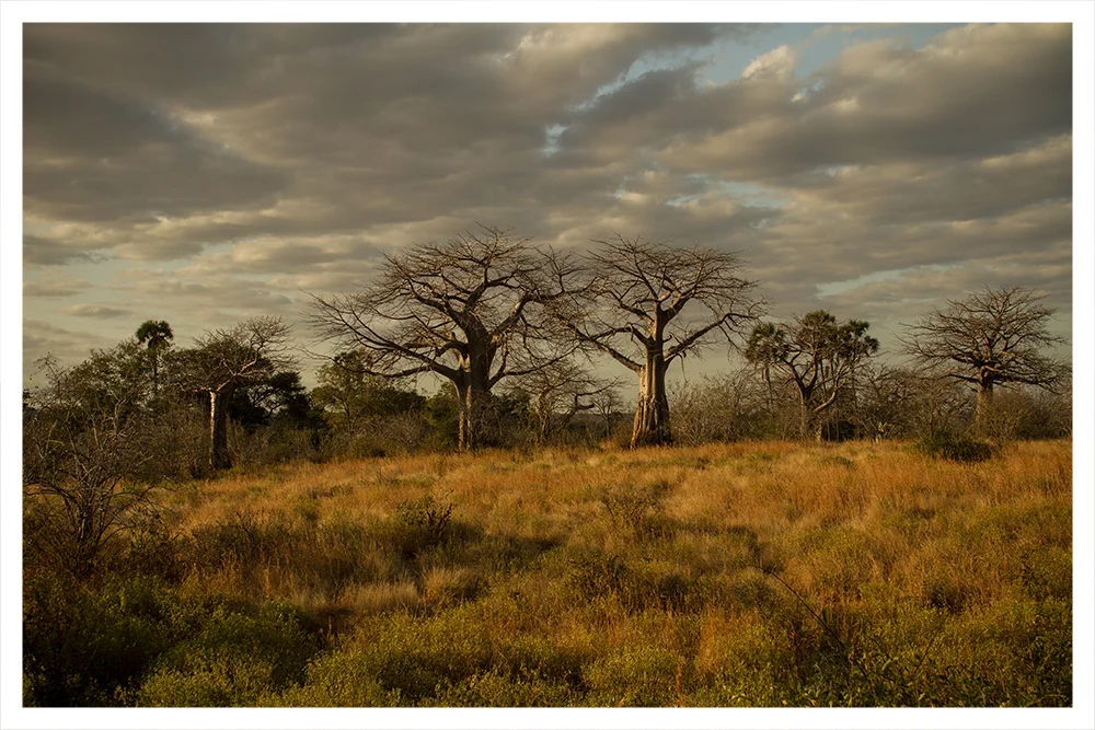 SS_RUAHA_PAGE_11.jpg