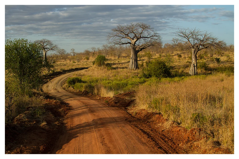 SS_RUAHA_PAGE_12.jpg