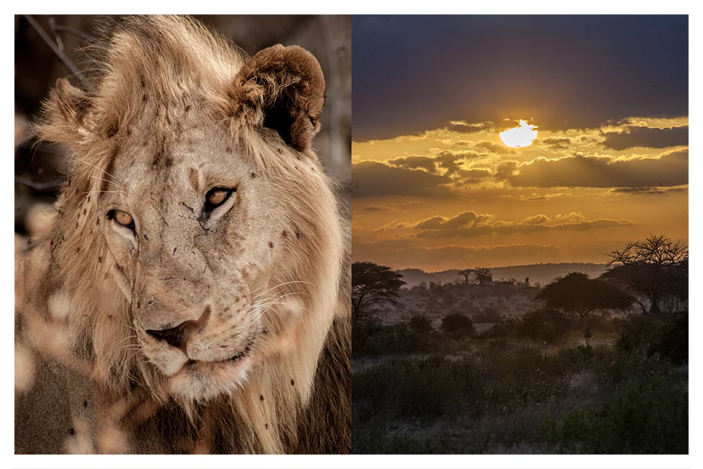 SS_RUAHA_PAGE_14.jpg