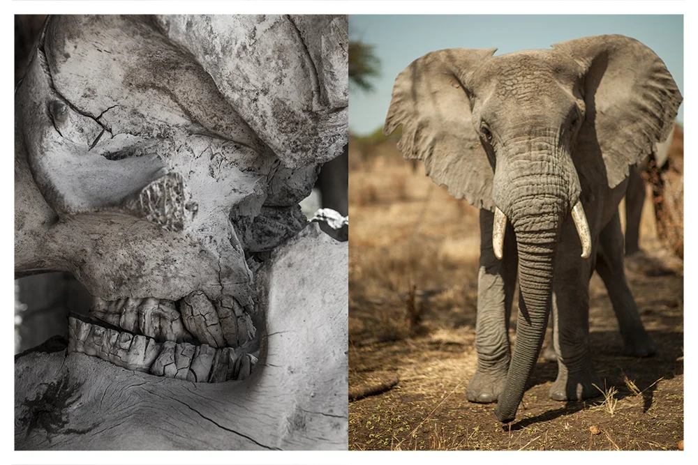 SS_RUAHA_PAGE_16.jpg