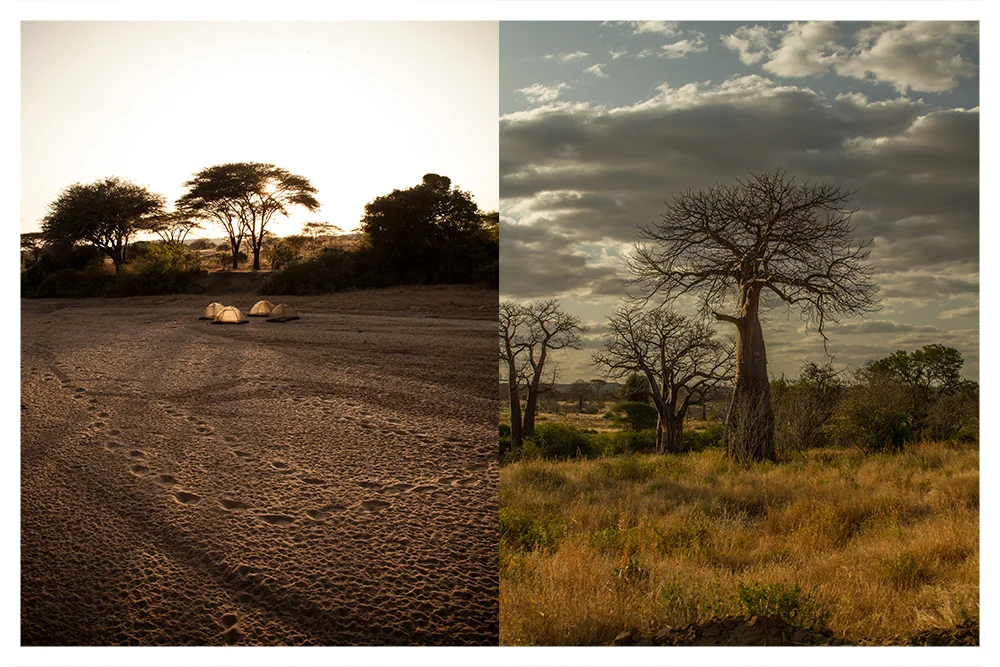 SS_RUAHA_PAGE_17.jpg