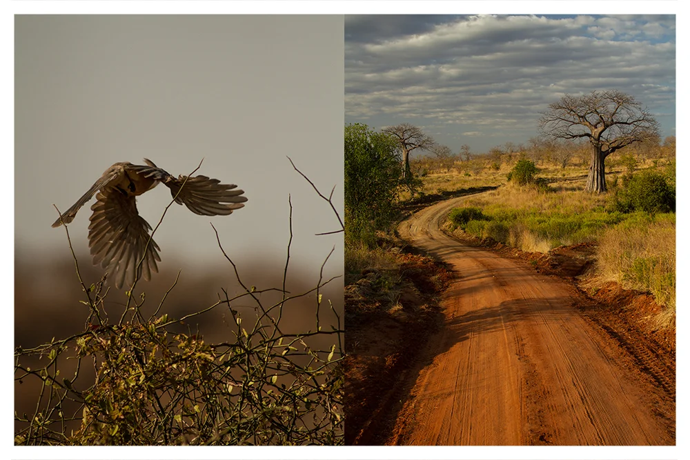 SS_RUAHA_PAGE_20.jpg