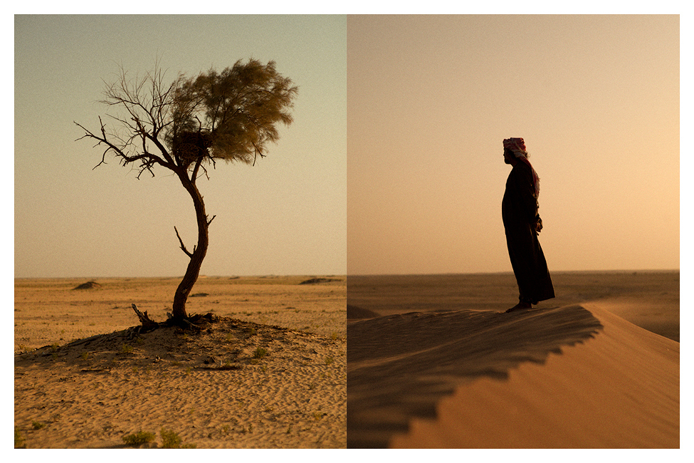 PageImage-514090-3818441-OMAN_TREE_DUNE_WEB.jpg